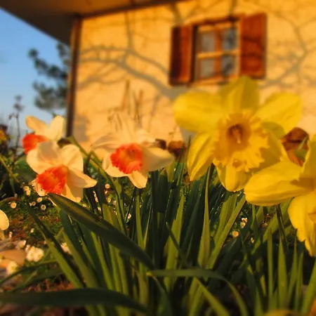 Casale Isorella Oda ve Kahvaltı